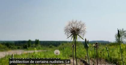 social post image