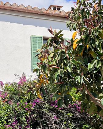 🧘🏻‍♀️ Silenci. Calma. Natura. Aquí, el so dels ocells, la brisa suau entre els arbres i la calma de la natura 