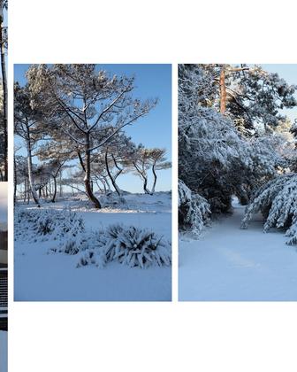 Une météo exceptionnelle mixée à un site exceptionnel, et le résultat est à couper le souffle : un manteau de 