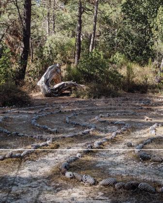 Les événements de cet été en Gironde nous rappellent de ne jamais rien prendre pour acquis - notre planète, no
