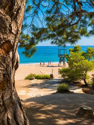 El rincón que no podíamos olvidar. Tapas junto al mar, brisa mediterránea y una terraza con el Torn de fondo. 
