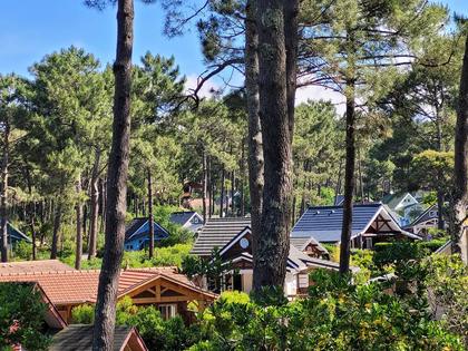 Sous les pins 🌲, les chalets vous accueillent pour des vacances naturistes au cœur de la nature 🌿 Liberté, cal