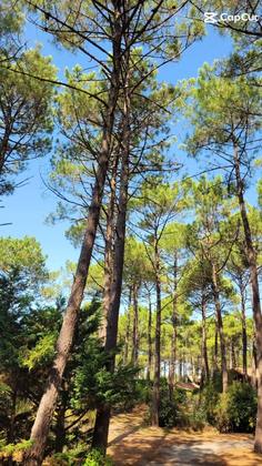 ⛳ À la recherche d’un golf insolite à seulement 60 km de Bordeaux et à deux pas de l’océan Atlantique ? Découv