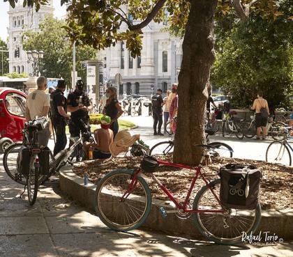 Sólo libertad para los borregos Ley mordaza y perros molestando Ciclonudismo anulado #leymordaza #perrospolici