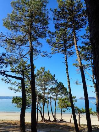 Playa de Barra, muy parecido al paraíso. #galicia #riasbaixas #Playa #playanudista #praiasdegalicia